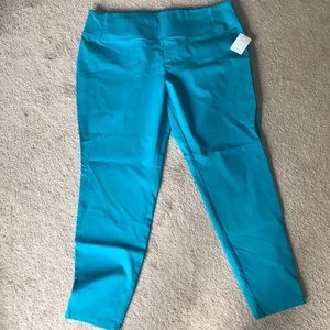 NWT pull on skinny pants